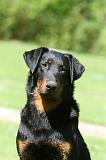 BEAUCERON 846